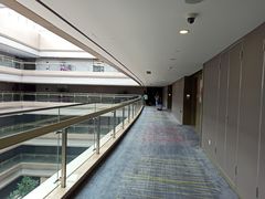 -南京禄口机场雅高铂尔曼大酒店
