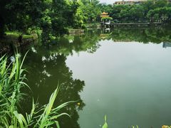 -雨湖公园