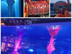 -成都浩海立方海洋公园