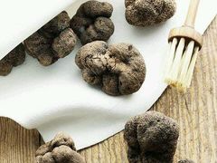 -Tanuki Raw(Orchard Central)