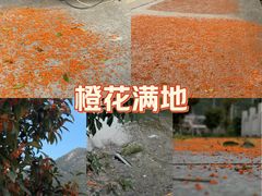 -大罗山风景区