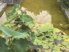 -老房子金沙元年川菜食府·花园餐厅(金沙店)