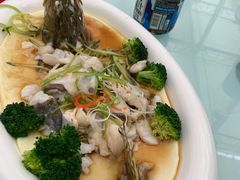 -嬉乐湾休闲旅游区