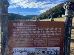 -碧塔海