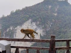 -重庆云阳龙缸景区