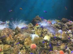 -福州罗源湾海洋世界旅游区