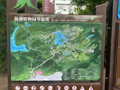 -深圳仙湖植物园