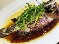 -海儀美食楼(湾仔海鲜街店)