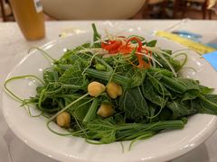 清香南瓜尖-巴依老爷新疆美食(工体旗舰店)
