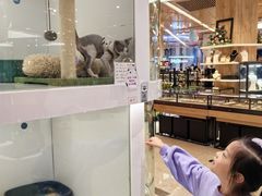 -1013 PET SHOP精品宠物商店(丁香店)