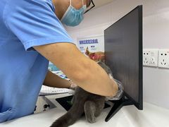 -博特宠物医院24h犬猫全科.骨科·异宠