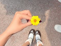 -泉城欧乐堡梦幻世界