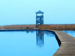 -盐城丹顶鹤湿地生态旅游区