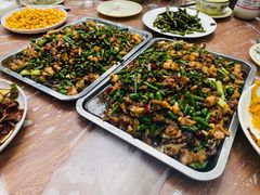 -铁山坪森林公园