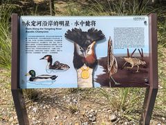 -绿堤公园