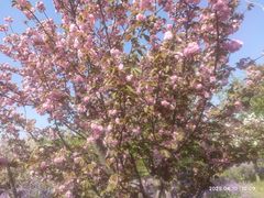 -北京雁栖湖国际会展中心