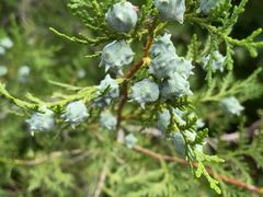 -北京十三陵国家森林公园蟒山景区