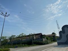 -王借岗森林公园