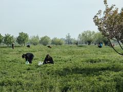 -汉长安城未央宫国家考古遗址公园