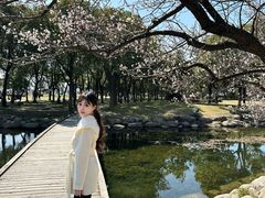 -蠡湖大桥公园