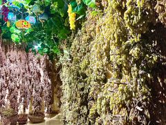 -新疆国际大巴扎