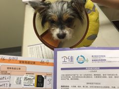 -爱诺耐芙动物医院(万博店)