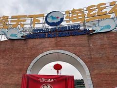 -瓷天下海丝谷