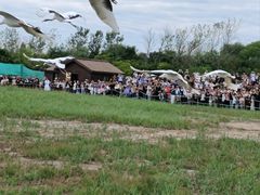 -盐城丹顶鹤湿地生态旅游区