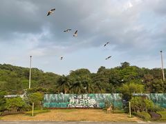 -深圳野生动物园