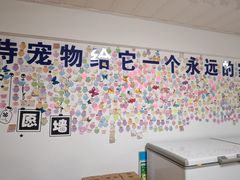-哈尔滨银山宠物天堂殡葬服务机构