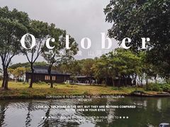 -莲花岛景区