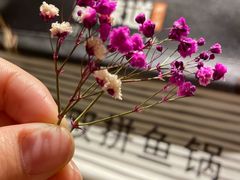 -新辣道鱼火锅(领展购物广场·中关村店)