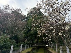 -柳侯公园
