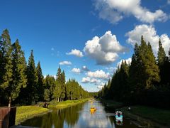 -黄海国家森林公园