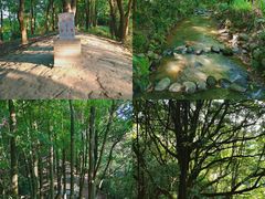-阳台山森林公园