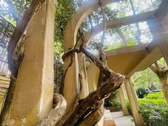 -徐家汇源景区-衡山公园