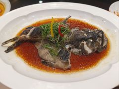 -新乾隆酒楼(帝景园店)