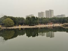 -大兴滨河森林公园