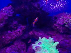 -多彩贵州城极地海洋世界