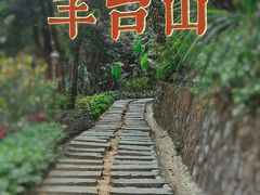 -阳台山森林公园