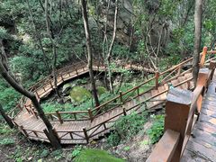 -大岭沟猕猴桃谷风景区