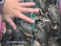 -桂园白粥·潮汕老味道