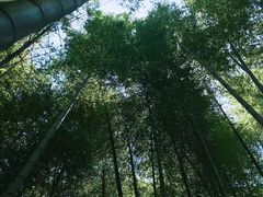 -陶祖圣境风景区