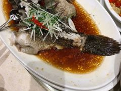 -顺风海鲜港(金玉兰店)
