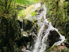 -山沟沟景区