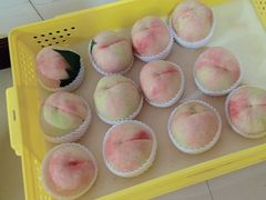 -老袁家蜜桃农场·阳山水蜜桃