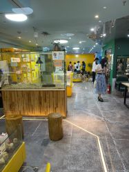 -神奇动物撸宠馆·羊驼·小浣熊·异宠(豫园店)