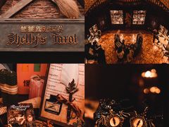 -雪灵魔法世界SHELLY’S TAROT(大良桂畔里店)