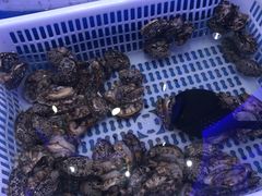 -澜悦港海鲜体验主题餐厅