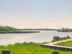 -西青郊野公园